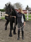 Image 58 in JULIE'S FRIESIANS. 3. DEC. 2015.
