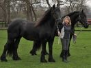 Image 59 in JULIE'S FRIESIANS. 3. DEC. 2015.
