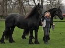 Image 59 in JULIE'S FRIESIANS.  3. DEC. 2015.