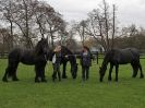 Image 60 in JULIE'S FRIESIANS. 3. DEC. 2015.