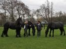 Image 60 in JULIE'S FRIESIANS.  3. DEC. 2015.