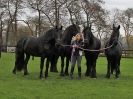 Image 63 in JULIE'S FRIESIANS.  3. DEC. 2015.