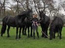 Image 64 in JULIE'S FRIESIANS. 3. DEC. 2015.