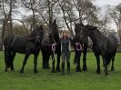 Image 65 in JULIE'S FRIESIANS. 3. DEC. 2015.