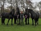 Image 66 in JULIE'S FRIESIANS. 3. DEC. 2015.