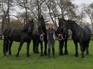 Image 67 in JULIE'S FRIESIANS. 3. DEC. 2015.