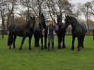 Image 68 in JULIE'S FRIESIANS. 3. DEC. 2015.
