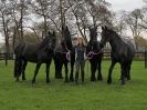 Image 69 in JULIE'S FRIESIANS. 3. DEC. 2015.