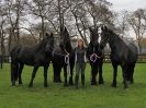 Image 70 in JULIE'S FRIESIANS. 3. DEC. 2015.