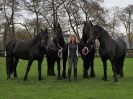 Image 71 in JULIE'S FRIESIANS. 3. DEC. 2015.