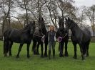 Image 72 in JULIE'S FRIESIANS. 3. DEC. 2015.