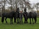 Image 73 in JULIE'S FRIESIANS. 3. DEC. 2015.