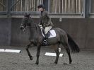 Image 23 in WORLD HORSE WELFARE. DRESSAGE  5 DEC 2015.