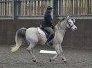 Image 31 in WORLD HORSE WELFARE. DRESSAGE 5 DEC 2015.