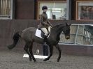 Image 51 in WORLD HORSE WELFARE. DRESSAGE 5 DEC 2015.