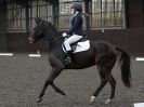 Image 63 in WORLD HORSE WELFARE. DRESSAGE 5 DEC 2015.