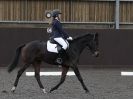 Image 66 in WORLD HORSE WELFARE. DRESSAGE 5 DEC 2015.