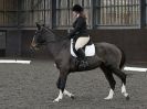 Image 74 in WORLD HORSE WELFARE. DRESSAGE 5 DEC 2015.