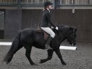 Image 77 in WORLD HORSE WELFARE. DRESSAGE 5 DEC 2015.