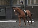 Image 83 in WORLD HORSE WELFARE. DRESSAGE 5 DEC 2015.