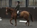 Image 85 in WORLD HORSE WELFARE. DRESSAGE 5 DEC 2015.