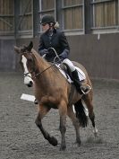 Image 93 in WORLD HORSE WELFARE. DRESSAGE 5 DEC 2015.