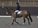 Image 94 in WORLD HORSE WELFARE. DRESSAGE 5 DEC 2015.