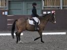 Image 95 in WORLD HORSE WELFARE. DRESSAGE 5 DEC 2015.