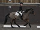 Image 97 in WORLD HORSE WELFARE. DRESSAGE 5 DEC 2015.