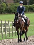 Image 44 in DRESSAGE. BROADS EC. 6 DEC. 2015
