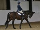 Image 48 in DRESSAGE. BROADS EC. 6 DEC. 2015