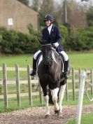 Image 57 in DRESSAGE. BROADS EC. 6 DEC. 2015