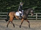 Image 67 in DRESSAGE. BROADS EC. 6 DEC. 2015