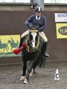 Image 10 in WORLD HORSE WELFARE. SHOW JUMPING. 12 DEC. 2015