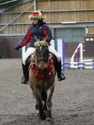 Image 21 in WORLD HORSE WELFARE. SHOW JUMPING. 12 DEC. 2015