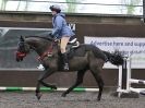 Image 26 in WORLD HORSE WELFARE. SHOW JUMPING. 12 DEC. 2015