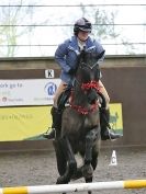 Image 31 in WORLD HORSE WELFARE. SHOW JUMPING. 12 DEC. 2015