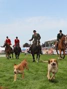 Image 11 in A FEW OF MY FAVOURITE SHOW JUMPING PICTURES FROM SUMMER 2015