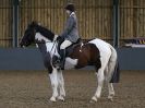 Image 48 in HUMBERSTONE FARM EC. DRESSAGE. 20 DEC. 2015