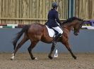 Image 57 in HUMBERSTONE FARM EC. DRESSAGE. 20 DEC. 2015