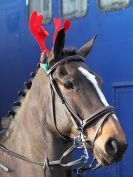 Image 13 in WAVENEY HARRIERS BOXING DAY MEET. 2015 BUNGAY.