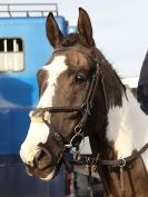 Image 26 in WAVENEY HARRIERS BOXING DAY MEET. 2015 BUNGAY.