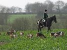 Image 78 in WAVENEY HARRIERS BOXING DAY MEET. 2015 BUNGAY.