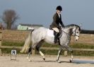 Image 2 in COLETTE.  DRESSAGE.