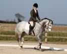 Image 3 in COLETTE.  DRESSAGE.