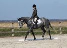 Image 6 in COLETTE.  DRESSAGE.