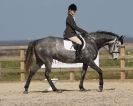 Image 7 in COLETTE.  DRESSAGE.