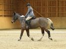 Image 18 in EASTON PARK STUD. UNAFFIL. DRESSAGE, JAN 2. 2016