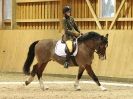 Image 36 in EASTON PARK STUD. UNAFFIL. DRESSAGE, JAN 2. 2016