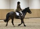 Image 5 in EASTON PARK STUD. UNAFFIL. DRESSAGE, JAN 2. 2016